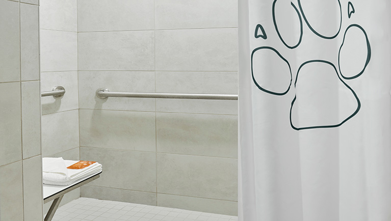 The accessible bathroom in the Queen Sofa Suite